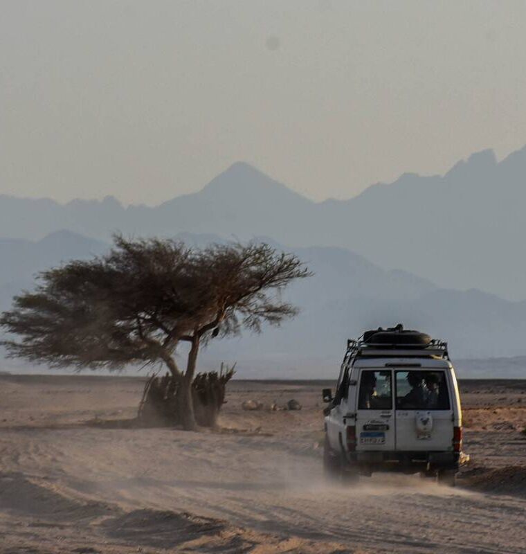 295631_67150f11e549c